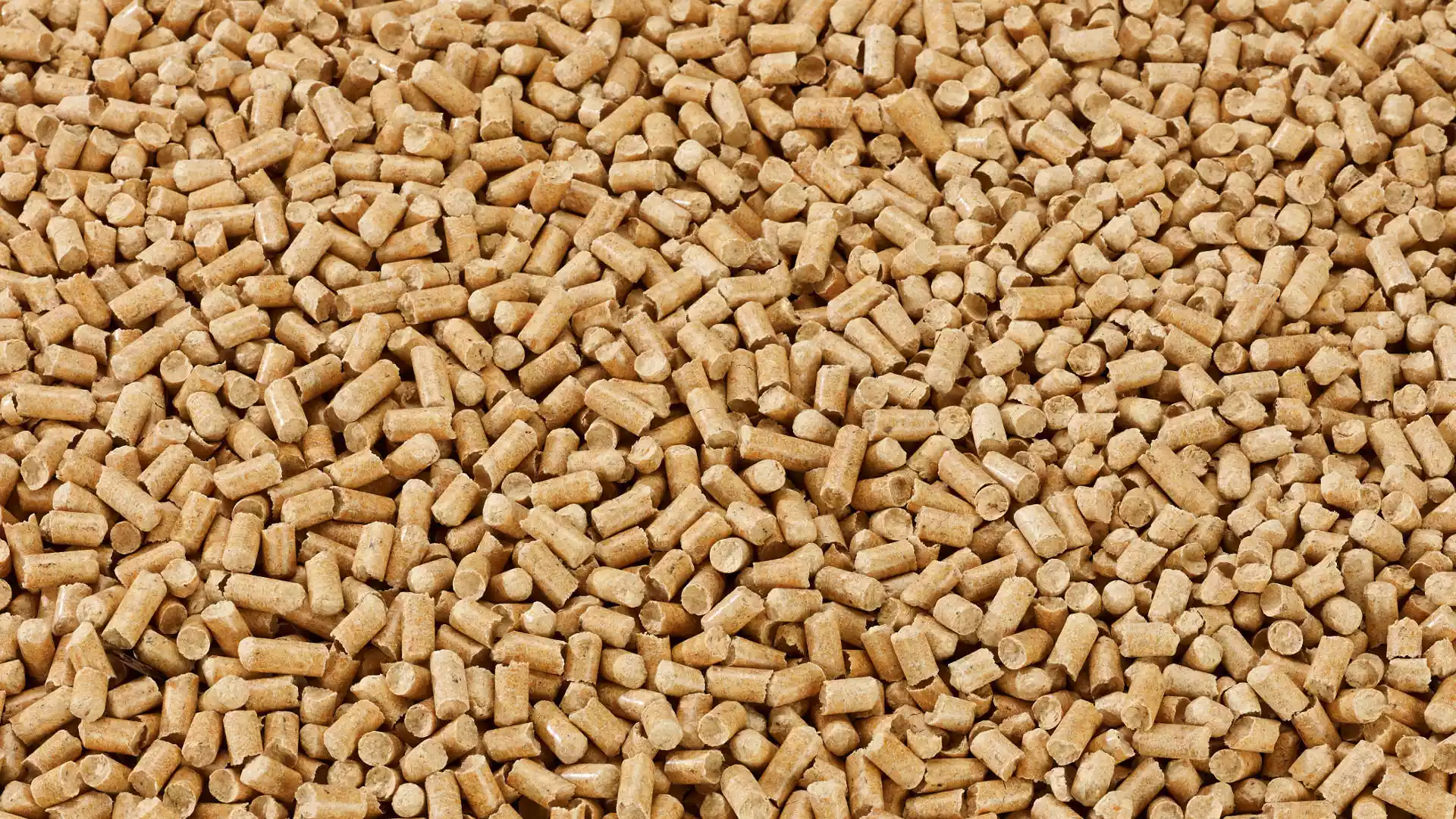 Pellet Task Premium