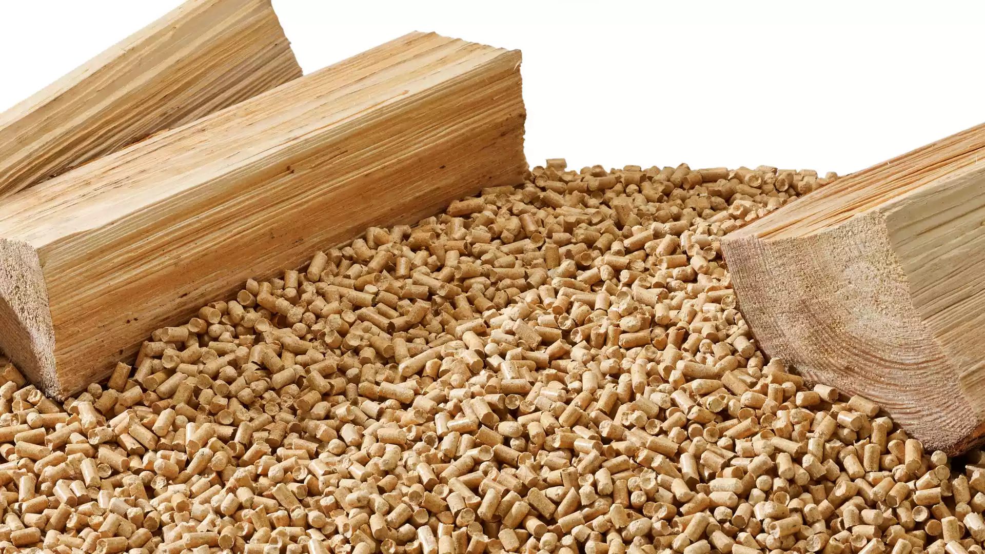 Pellet Task Premium