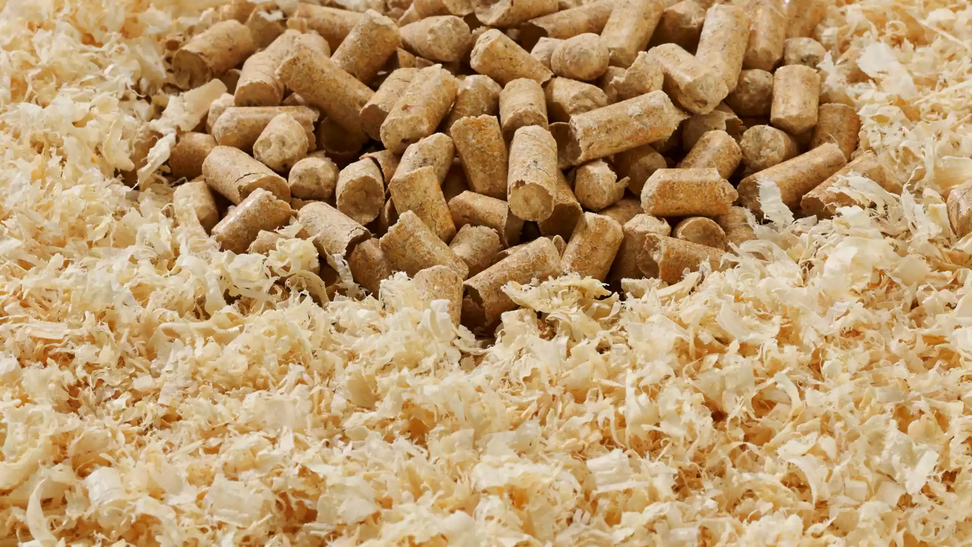 Pellet Task Premium
